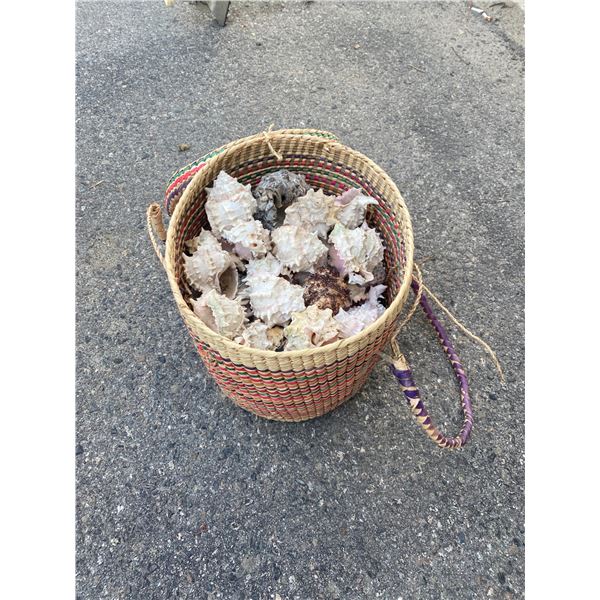 Basket of shells