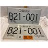 Image 1 : Licence plates