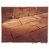 Image 2 : Hanna-Barbera Production Background Illustration