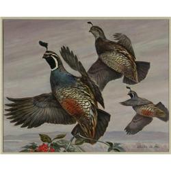 OIL PAINTING CHARLES DEFEO NY VALLEY QUAIL