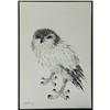 Image 3 : RICHARD GILKEY set of 6 lithographs