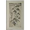 Image 1 : WOODCUT BILL RITCHIE WA NORTHWEST ABSTRACT SHAPES
