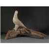 Image 1 : SCULPTURE EBBA RAPP NORTHWEST BIRD DRIFTWOOD