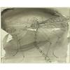 Image 1 : WATERCOLOR KENNETH CALLAHAN DRAGONFLY NORTHWEST