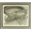 Image 2 : WATERCOLOR KENNETH CALLAHAN DRAGONFLY NORTHWEST