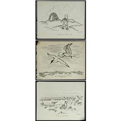 SKETCHES: Eddie Omnik 15 folio images