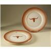 Image 1 : METAL TEXAS LONGHORN PLATES