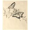 Image 1 : Hans Kleiber, Etching