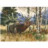 Image 1 : David Jackson, Watercolor
