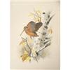 Image 1 : Ken Carlson, Watercolor
