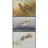 Image 1 : Janeen A. Schissler, 3 Watercolors