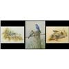 Image 1 : Janeen A. Schissler, 3 Watercolors