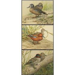Janeen A. Schissler, 3 Watercolors