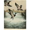 Image 2 : 275: Hans Kleiber, 2 Hand Colored Etchings