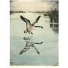 Image 3 : 275: Hans Kleiber, 2 Hand Colored Etchings