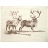 Image 1 : 278: Bob Kuhn, Conte Drawing
