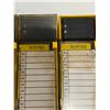 Image 12 : (2) FANUC RACKS WITH MODULES