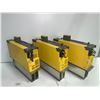 Image 3 : (3) Fanuc A06B-6124-H209 Servo Amplifier Module