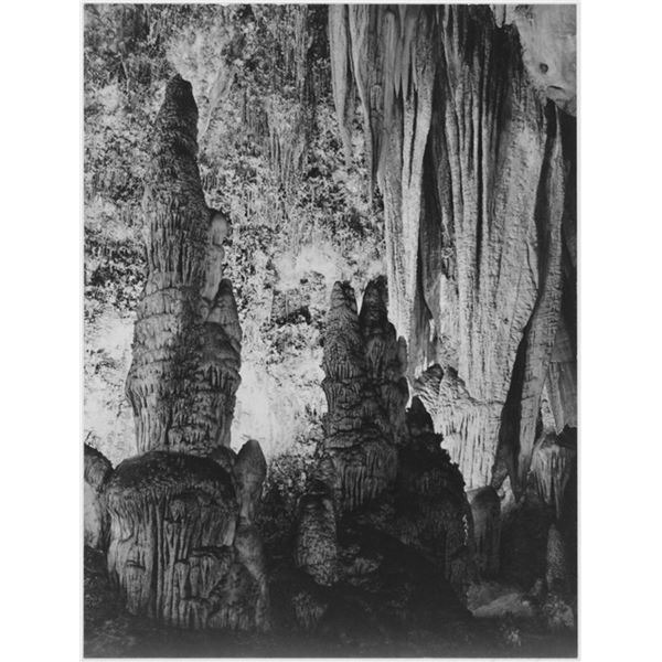 Adams - Carlsbad Caverns National Park New Mexico 4