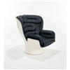 Image 1 : Joe Colombo "Elda" chair