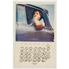 Image 2 : Joe Goode "L.A. Artists in their Cars" (calendar)