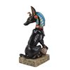 Image 1 : ANUBIS