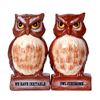 Image 1 : OWLS SP