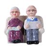 Image 1 : GRANDPA AND GRANDMA MAGNETIC SP SET