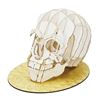 Image 1 : SKULL