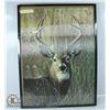 Image 1 : 3D BUCK DEER FRAMED