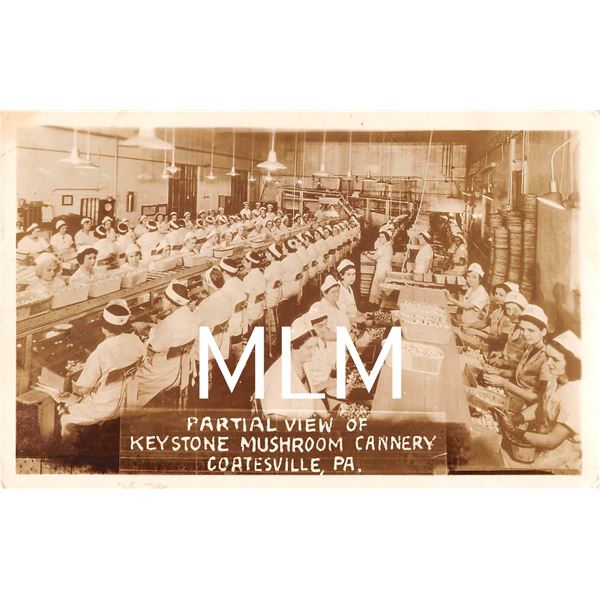 Partial View Keystone Mushroom Cannery Interior Coatesville, Pennsylvania Photo Postcard
