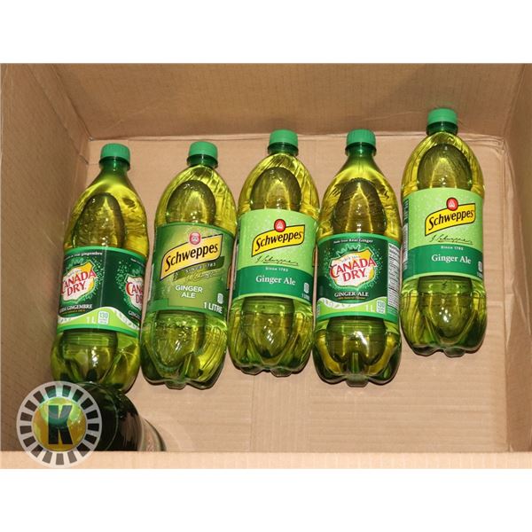 BOX OF GINGER ALE BOTTLES