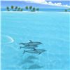 Image 2 : Dolphin Trio by Mackin, Dan