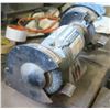 Image 3 : 6" bench grinder 'King'