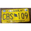 Image 1 : license plate Alaska vintage