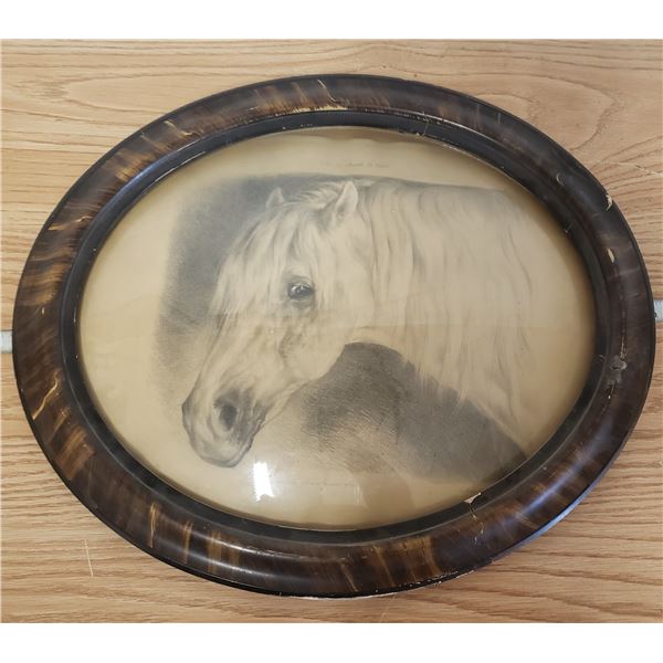 Horse print in antique frame with bevelled oval glass