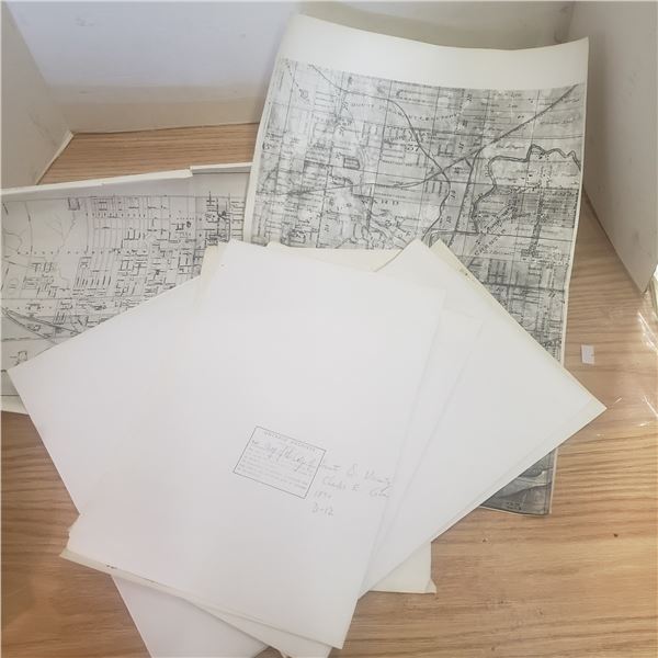 copy of a map of Toronto 1875 Ontario Archive 9 Sheets