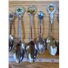 Image 5 : 12 x collector spoons Including Florida, Edmonton, Gravelbourg, Fredericton, Penticton, Calgary, rar