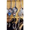 Image 4 : 17 Souvenir spoons with rack