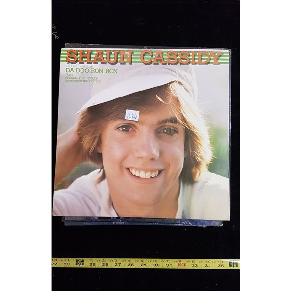 Lot of 20 33 1/3 LP's