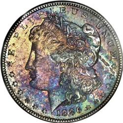1886 $1 MS65 Â« NGC