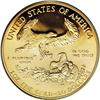 Image 2 : 1993-W G$50 One-Ounce Gold Eagle PR70 Deep Cameo