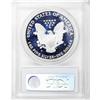 Image 4 : 1994-P $1 Silver Eagle PR70 Deep Cameo PCGS