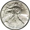 Image 1 : 2006-W $1 20th Anniversary Silver Eagle MS70