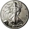 Image 2 : 2006-W $1 20th Anniversary Silver Eagle MS70