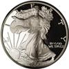 Image 3 : 2006-W $1 20th Anniversary Silver Eagle MS70