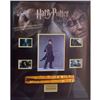 Image 1 : Signed Harry Potter Wand in Shadowbox Display
