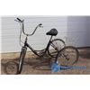 Image 1 : **Unisex 24" Freespirit Tricycle