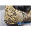 Image 3 : Genuine Snakeskin Boots - Size 9.5