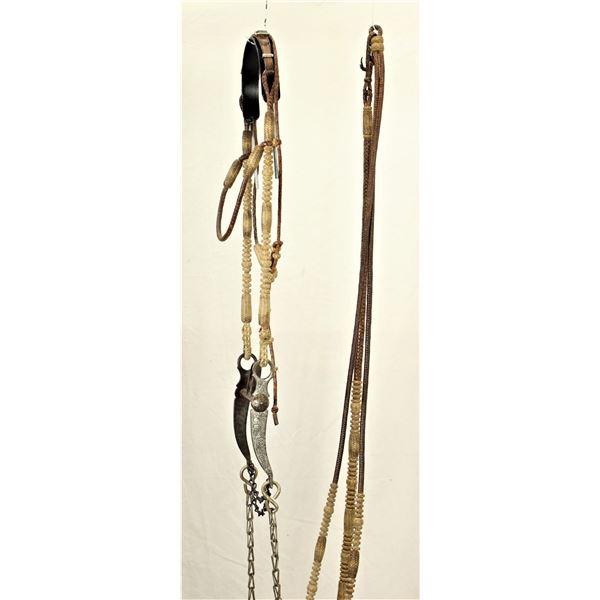 Rawhide & Leather Bridle